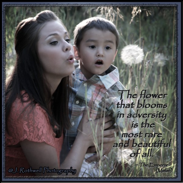 Flower that blooms in adversity